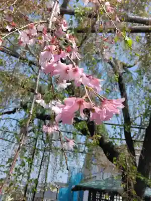 普門院(神奈川県)