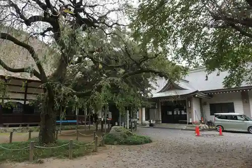 茂林寺のその他建物