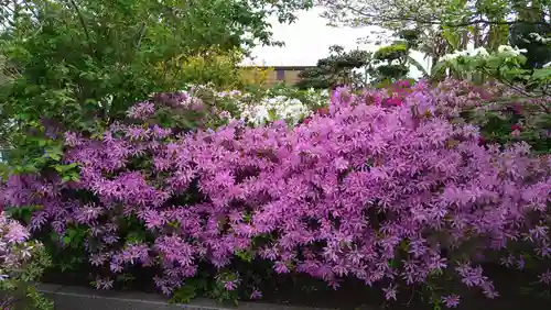 法雲寺(大阪府)