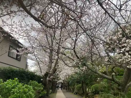 極楽寺（霊鷲山感應院極楽律寺）の景色