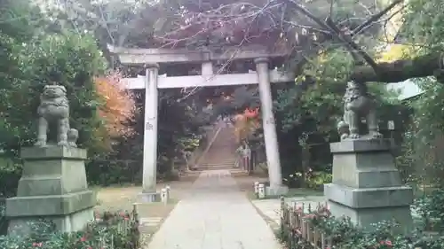 赤坂氷川神社の鳥居