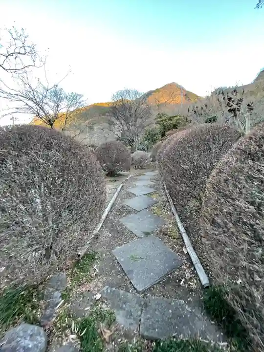 長泉院(埼玉県)