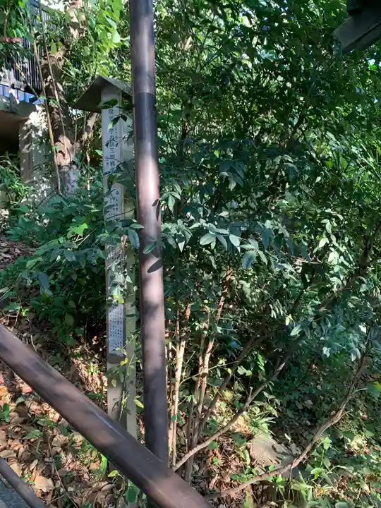 新羽杉山神社(神奈川県)