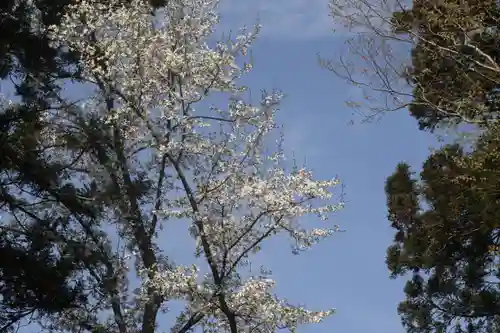 菅布禰神社の自然
