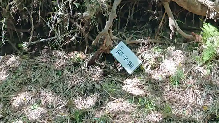 報徳二宮神社の自然