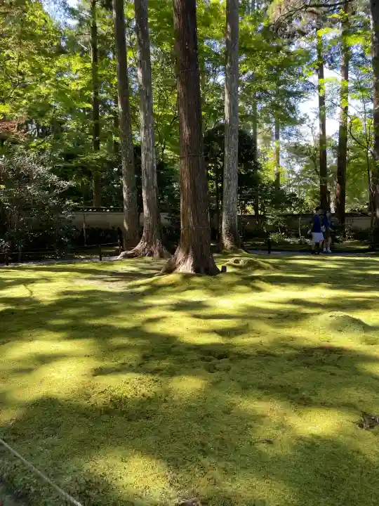 三千院門跡(京都府)