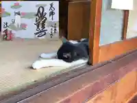 法華寺(岐阜県)