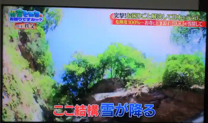 観音院(埼玉県)
