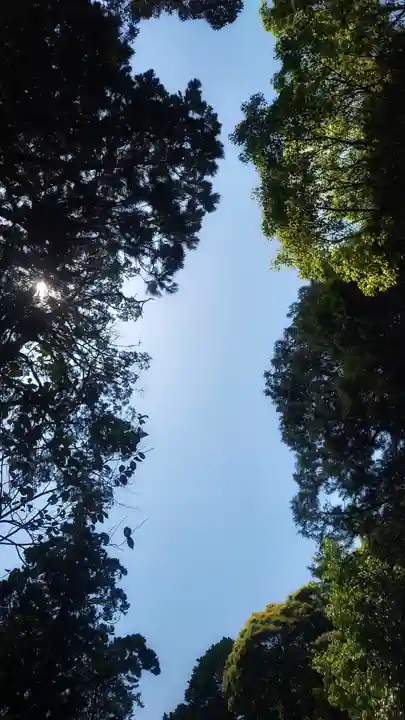 南宮稲荷大明神(岐阜県)