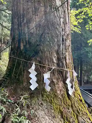 日光二荒山神社(栃木県)