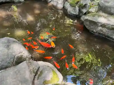 熊野神社(東京都)