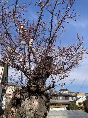 善福寺(神奈川県)