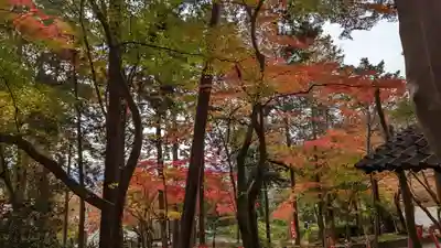 毘沙門堂門跡(京都府)