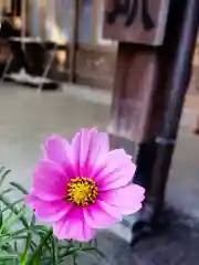 本郷氷川神社(東京都)