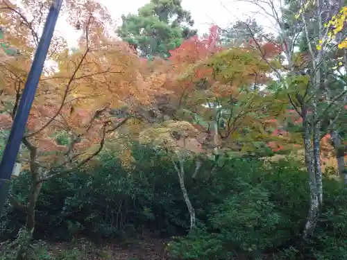 厳島神社(広島県)