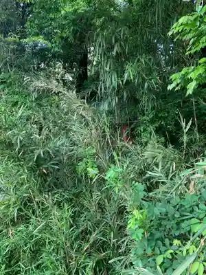 天光龍王亀菊弁財天(千葉県)