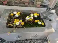 東海市熊野神社の手水舎