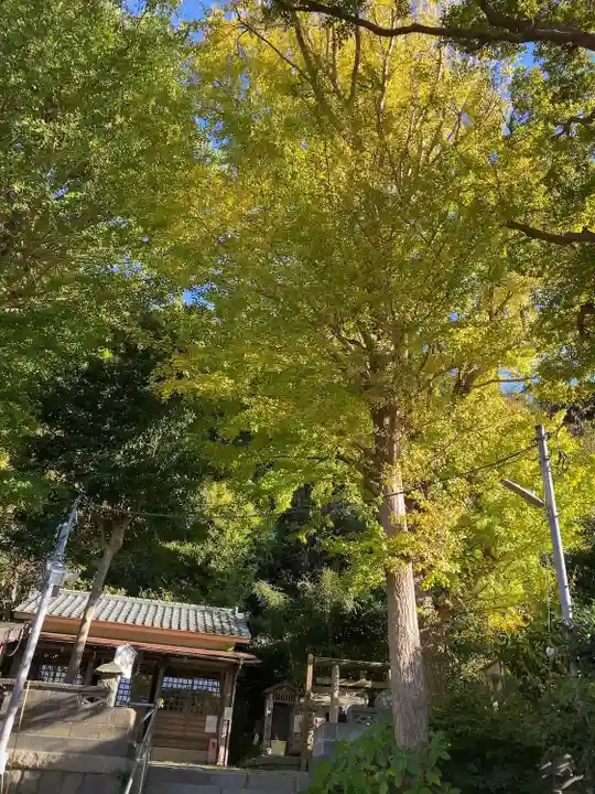 五所神社(神奈川県)