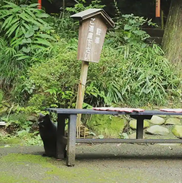 間々田八幡宮の動物