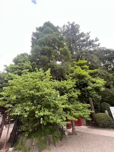 大國魂神社(東京都)