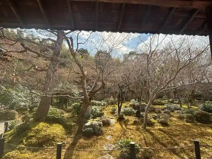 圓光寺の{uncategorized: "未分類", other: "その他", undefined: "問題あり", building: "その他建物", grave: "お墓", sacred_gate: "鳥居", guardian: "狛犬", statue: "像", buddha: "仏像", history: "歴史", nature: "自然", garden: "庭園", animal: "動物", pagoda: "塔", temizu: "手水舎", mountain_gate: "山門・神門", sanctuary: "本殿・本堂", subordinate: "末社・摂社", art: "芸術", scenery: "景色", jizo: "地蔵", ema: "絵馬", goshuin: "御朱印", omikuji: "おみくじ", items: "授与品その他", amulet: "お守り", goshuincho: "御朱印帳", eats: "食事", festival: "お祭り", votive_dance: "神楽", shichigosan: "七五三参", wedding: "結婚式", experience: "体験その他", initially: "初詣", around: "周辺", anti_infection: "感染症対策"}