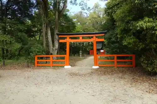 半木神社の初詣