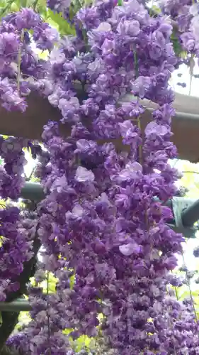 曼陀羅寺の庭園