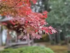 真禅院(岐阜県)