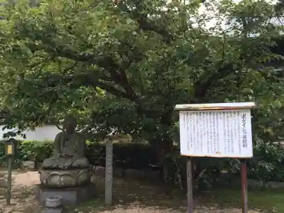 洞春寺(山口県)