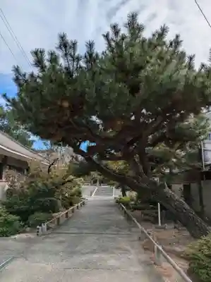 百萬遍知恩寺(京都府)