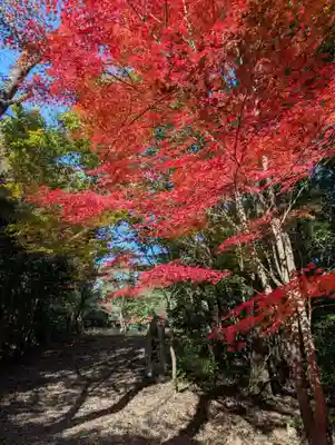 尾張冨士大宮浅間神社(愛知県)