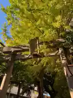 氷川神社(東京都)