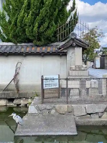 東寺（教王護国寺）の動物