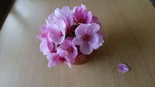 阿邪訶根神社の自然