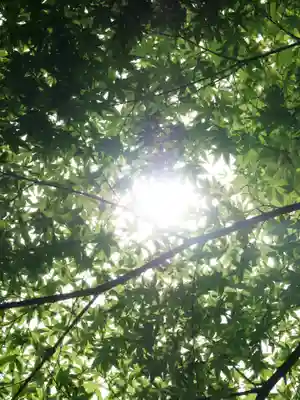 普門寺(切り絵御朱印発祥の寺)(愛知県)