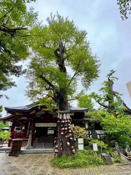 素盞雄神社の{uncategorized: "未分類", other: "その他", undefined: "問題あり", building: "その他建物", grave: "お墓", sacred_gate: "鳥居", guardian: "狛犬", statue: "像", buddha: "仏像", history: "歴史", nature: "自然", garden: "庭園", animal: "動物", pagoda: "塔", temizu: "手水舎", mountain_gate: "山門・神門", sanctuary: "本殿・本堂", subordinate: "末社・摂社", art: "芸術", scenery: "景色", jizo: "地蔵", ema: "絵馬", goshuin: "御朱印", omikuji: "おみくじ", items: "授与品その他", amulet: "お守り", goshuincho: "御朱印帳", eats: "食事", festival: "お祭り", votive_dance: "神楽", shichigosan: "七五三参", wedding: "結婚式", experience: "体験その他", initially: "初詣", around: "周辺", anti_infection: "感染症対策"}
