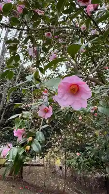 和氣神社（和気神社）(岡山県)