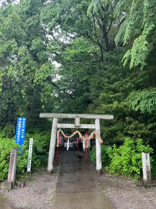下野 星宮神社(栃木県)