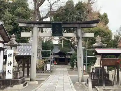 縣神社の鳥居
