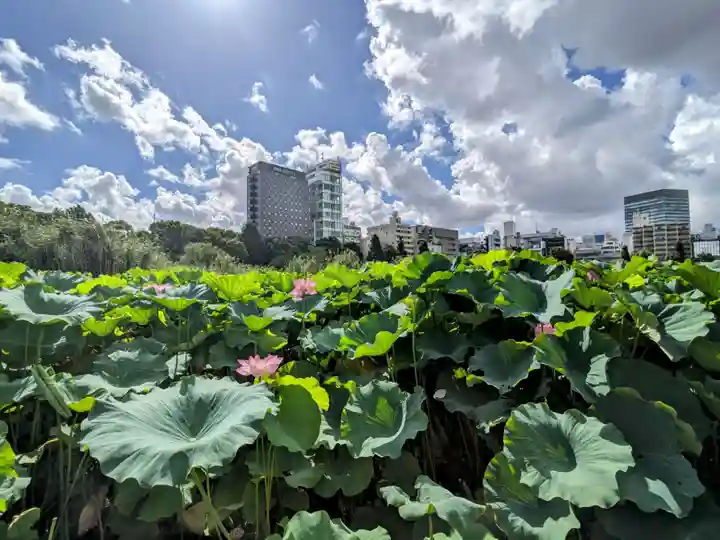 寛永寺不忍池弁天堂(東京都)