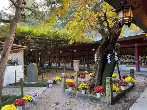 笠間稲荷神社の庭園