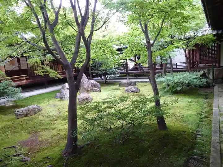 建仁寺(建仁禅寺)の庭園