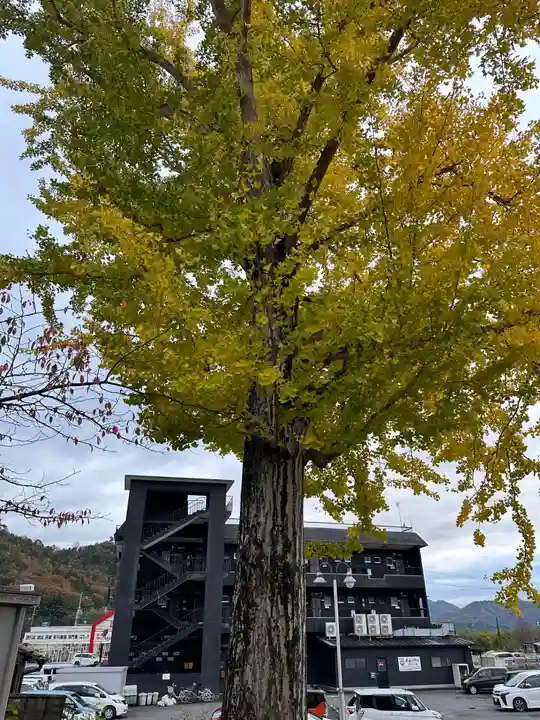 伊達神社(京都府)