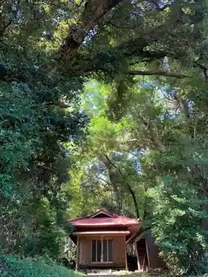 大國主神社の本殿・本堂