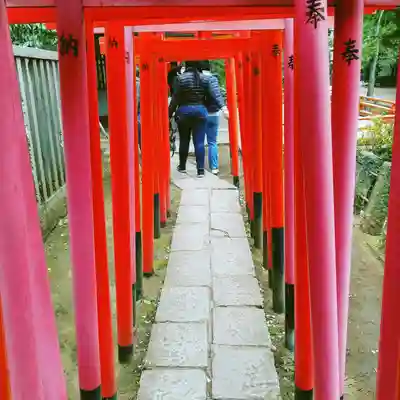 根津神社の鳥居