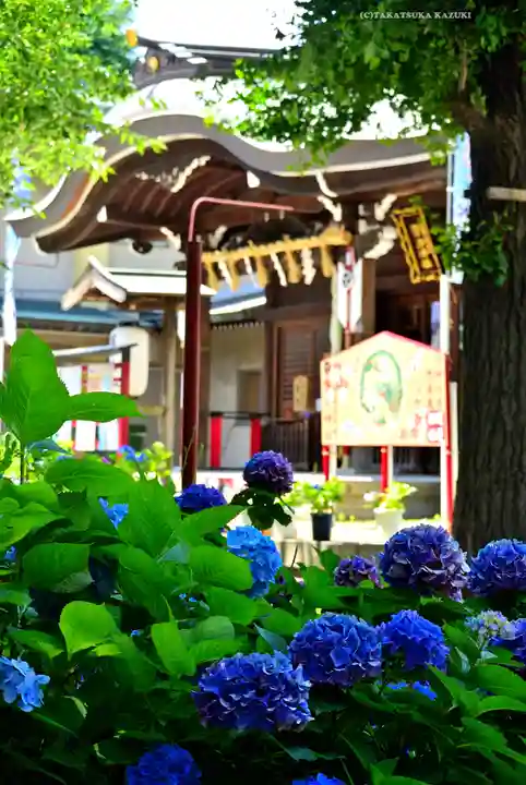 磐井神社(東京都)