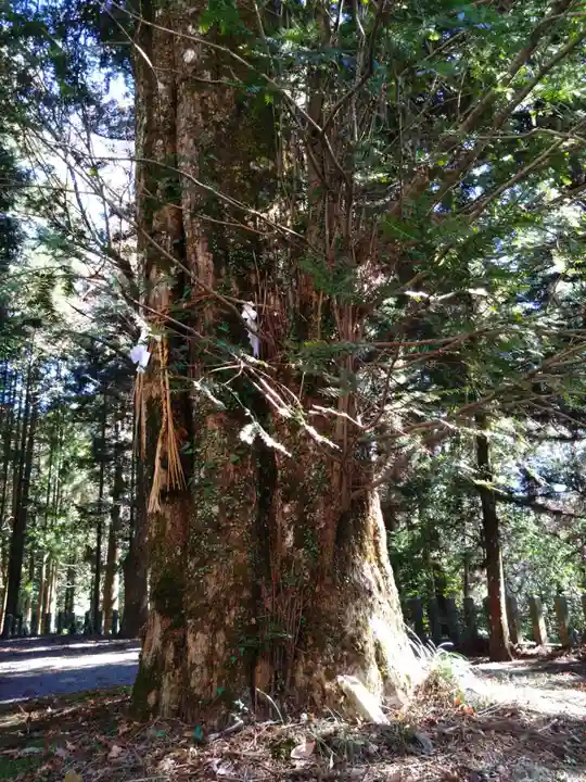 国造神社(熊本県)