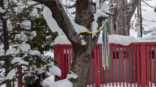 旭川銀座弁天神社の自然