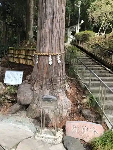 神場山神社の自然