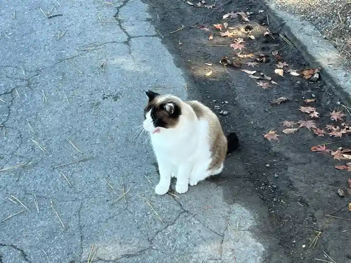 前山寺(長野県)